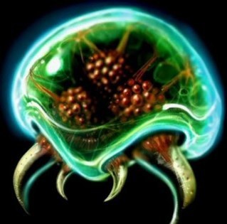 ZachSpeidel's profile picture. 