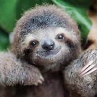 agflood (@7adair) 's Twitter Profile
