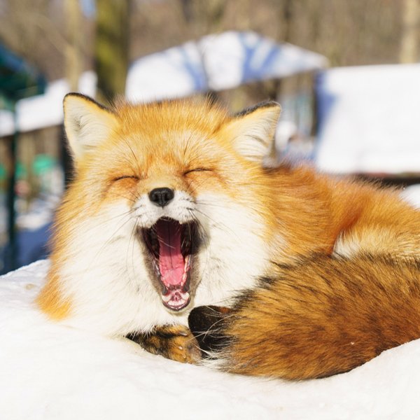 Sorol9's profile picture. 