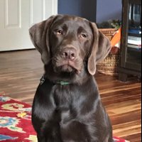 Beth McFarland (@bethmcfarlala) 's Twitter Profile