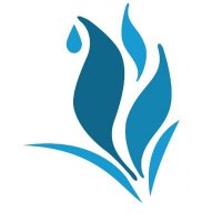 Blue Tulip Human Rights Center(@BlueTulipHRC) 's Twitter Profile Photo