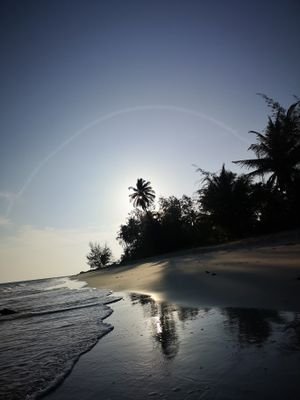 Michael57243065's profile picture. DDMD