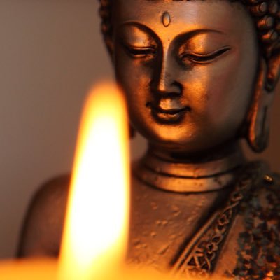 BoussardN's profile picture. 