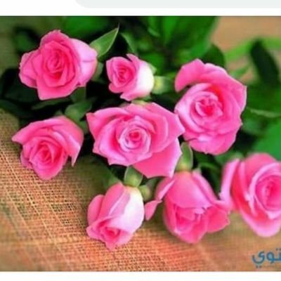 نحن مجموعه من طالبات العلم نعمل في مجال البحث العلمي، والتنسيق، والتفريغ الصوتي، والتدقيق اللغوي واتس أب https://t.co/a9X4t047Am