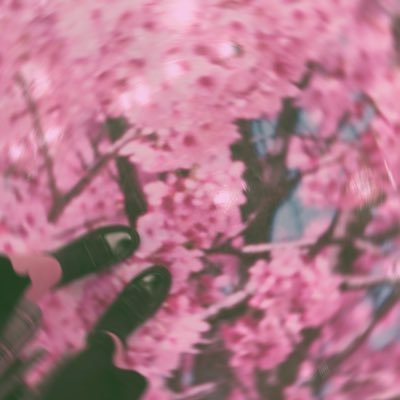 暇猫｡さんのプロフィール画像