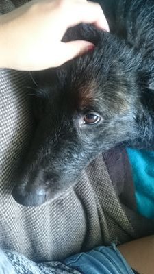 EkaterinaAntos3's profile picture. 