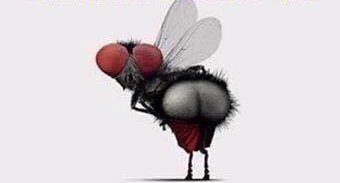 Tiziana26865241's profile picture. Sono atipica...mi faccio i fatti miei...