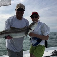 redfoxatl (@redfoxatl) 's Twitter Profile