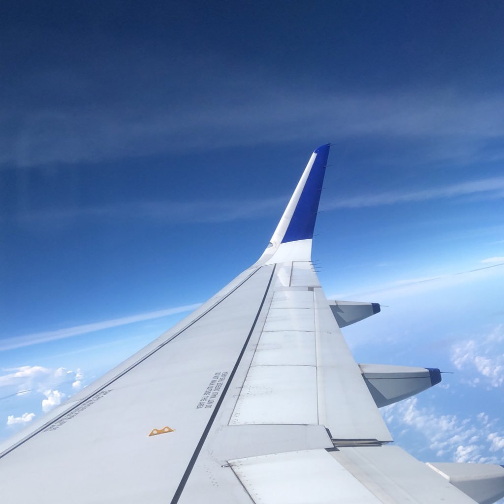 therealdovyo's profile picture. go follow @rubby_bird