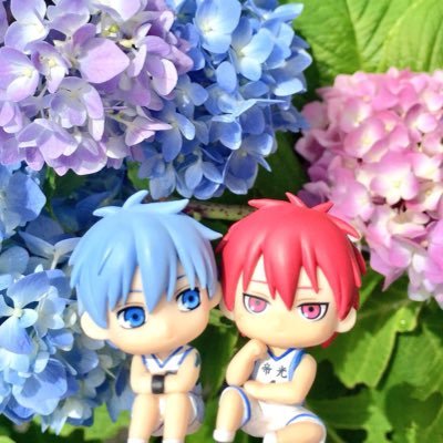 胡蝶さんのプロフィール画像