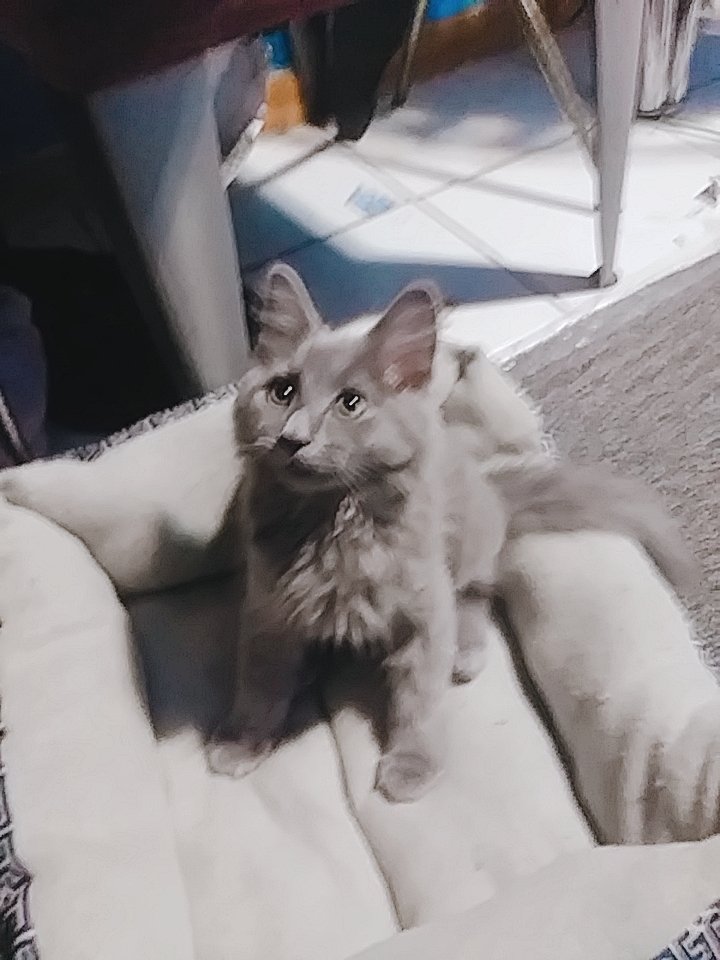 FaithVanity4's profile picture. 