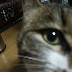 葉柚 なろうの完結ブーストすごいs ゚ ゚ ノ ここまで閲覧数増えるの