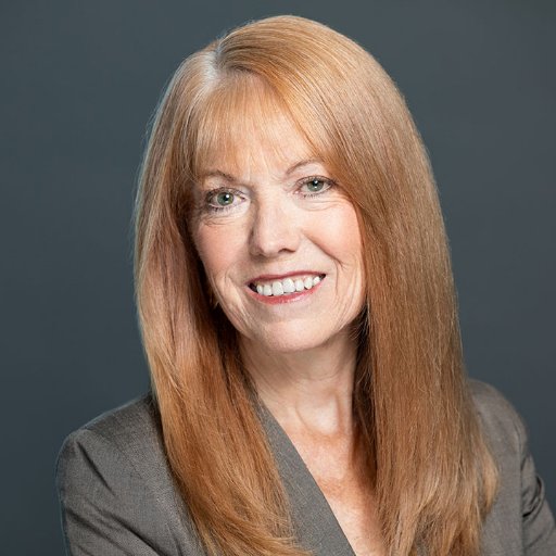 30-year corporate exec (#marketing, #branding, #sustainability) turned author, speaker, workshop leader. Student and teacher of marketing and career #agility.