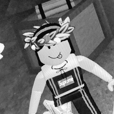 BloxburgStuff's profile picture. 