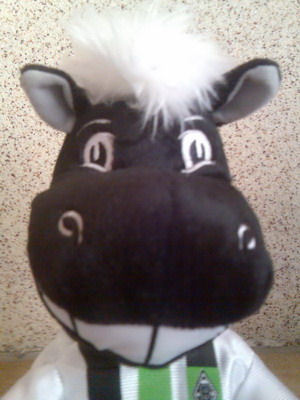 Schaggl's profile picture. Geboren auf Kohle, aufgewachsen mit der wahren Borussia und gegen Nazis. Ich bin stolz auf meine Wurzeln und meine Werte. #ruhrpott #gladbach #fcknzs