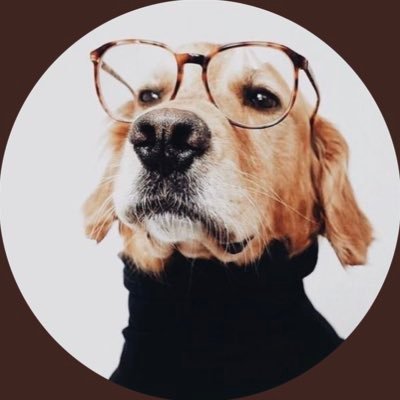 SamanthaSiegal's profile picture. not a lot going on at the moment