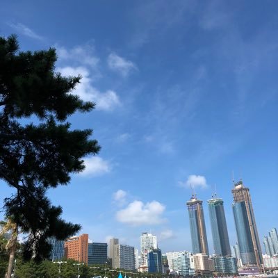 ji4451's profile picture. 