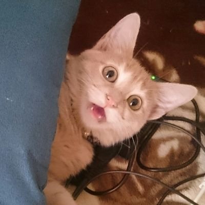 映像作って生きてます  元ＮＺＵ　ＤＭＤ
名古屋のデザイン会社
