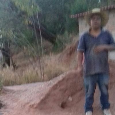 Albañil en general, plomería y electricidad.
#AMLOLujoDePresidente
#RedAMLO