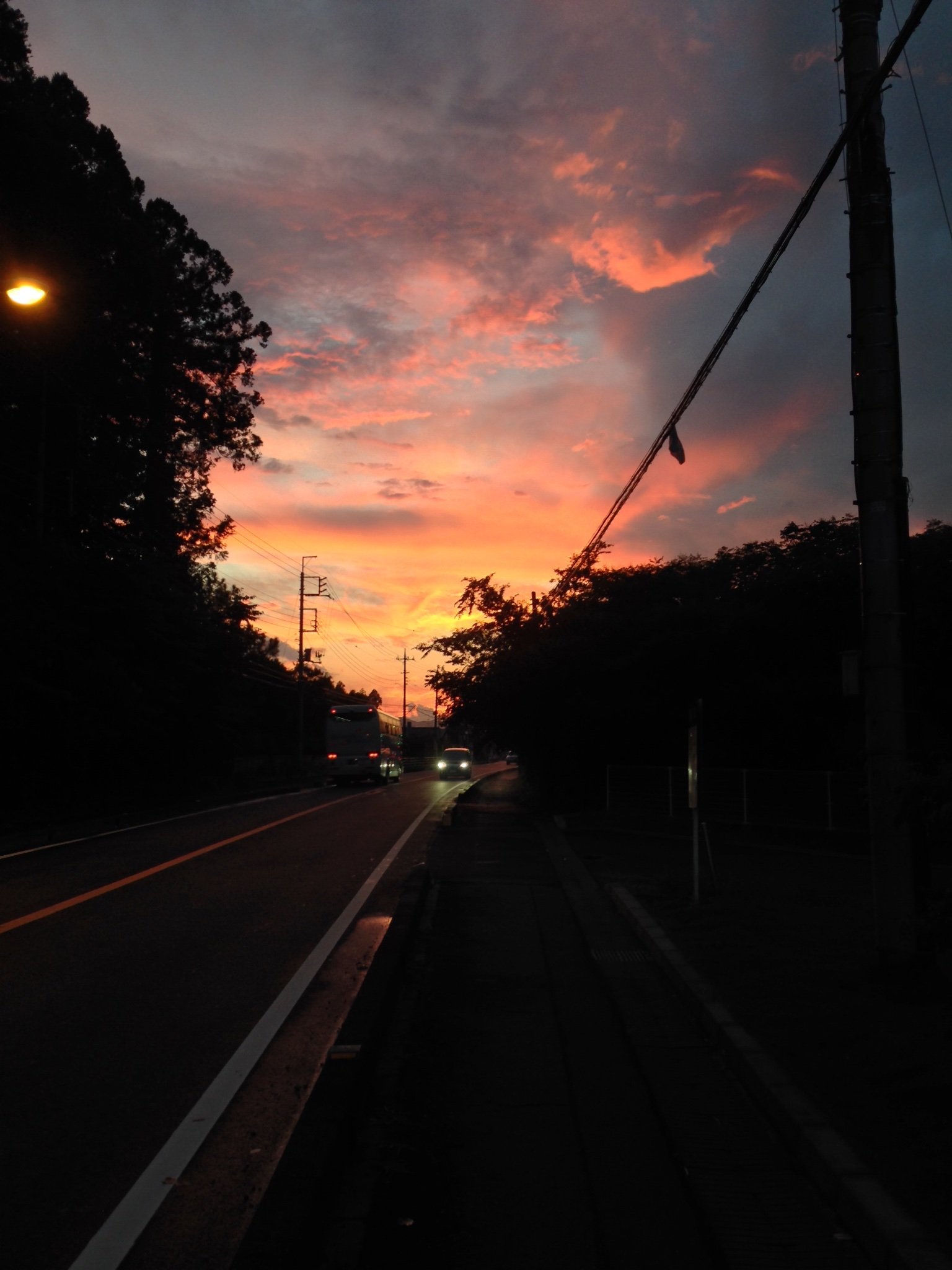 mzmz4696's profile picture. 成人済腐ヲタ、無言フォロー失礼致します。低浮上のROM専アカウント。ROM専ですが自衛しています、ご理解下さい。