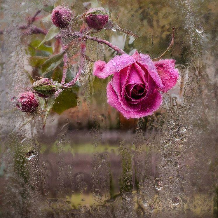 HKokalj's profile picture. 