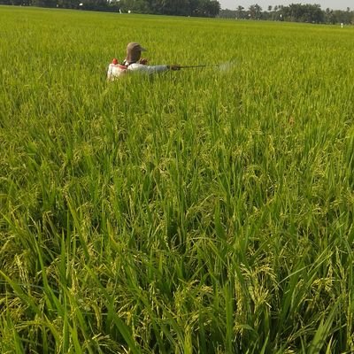 I ♡ u boru.. Sampai akhir hayatku kau akan selalu ku doakan agar senantiasa kamu selalu mendapatkan perlindungan dari Allah SWT.