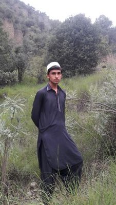 au9888885's profile picture. Tajbi khel