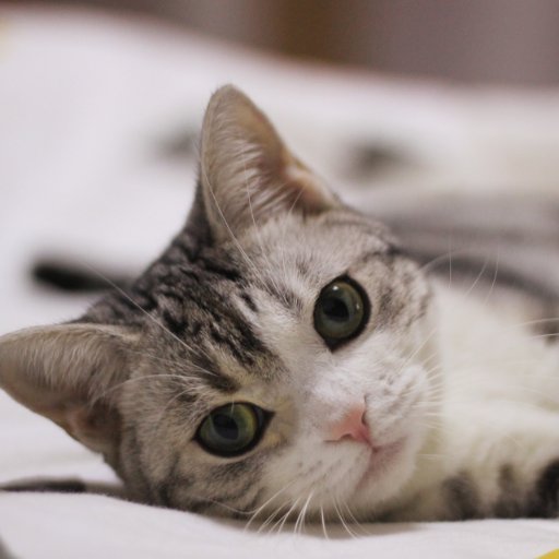 momota233's profile picture. ⚽️⚽🏆🏆🏆