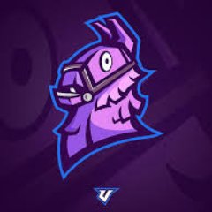 you want watch some epic fortnite video subscribe to my chanel https://t.co/ogsqiOsPeT