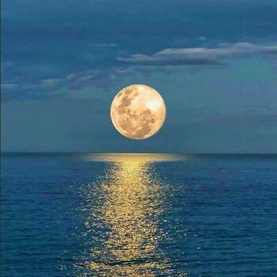 RashidaYassine's profile picture. 