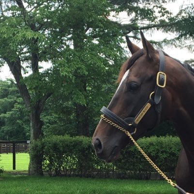 Beni45053382's profile picture. 自然豊かな地域に在住。たまに美しいもの、縄文土偶、土器、アウトドア、所感などつぶやきます。DMはほとんど見ません。よろしくお願いします🤲✨✨✨