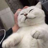 neenn (@neenn14) 's Twitter Profile