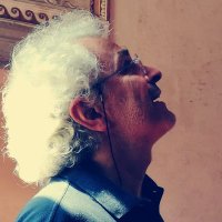 Vitale Fano (@vitalefano) 's Twitter Profile Photo