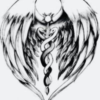 Allison Taylor (@allison57958605) 's Twitter Profile Photo