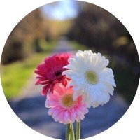 الغــــــــّــــلاء 🌸🥰 (@algala7766) 's Twitter Profile Photo الغــــــــّــــلاء 🌸🥰 (@algala7766) 's Twitter Profile Photo