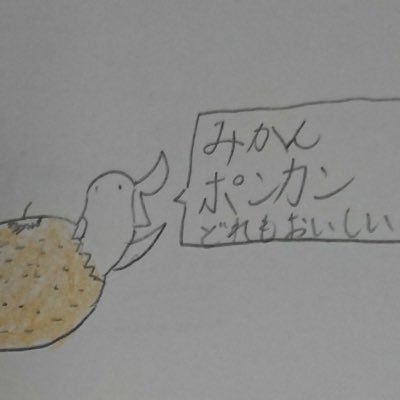 鳥好き、ペルソナ好きです。いつかは、鳥に囲まれ、生活しようと野望を抱いています。2broさん大好きです。もちろん先生も！ヘッダーはHazimaさん作です！