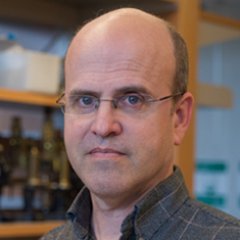 Professor of History and Philosophy of Science at Pitt