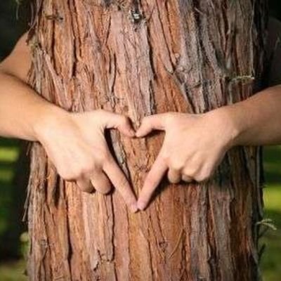 amazingourworld's profile picture. Celebrating #Influencer Giving ❤️ Join us 📲 https://t.co/LVpZk5IGkq Tag us for Good @CelebWhoGive 🥇♻️🐬 YouTube 🖥 https://t.co/GoKYcdMMVg