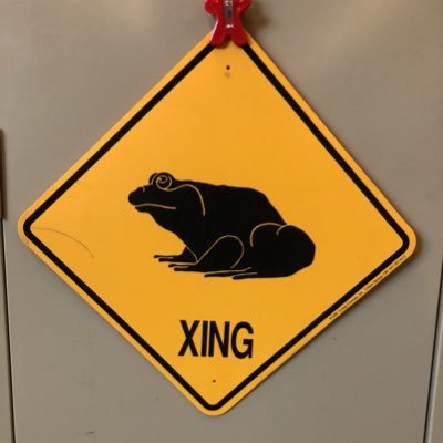 TheSpinac's profile picture. English teacher at Saline High School