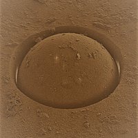 Michael Tanner (@tanner_labstuff) 's Twitter Profile
