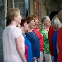 GalwaySingsProject (@singsgalway) 's Twitter Profile
