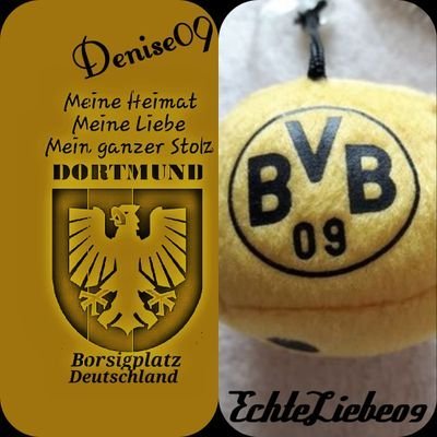 BVB Fan