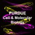 Purdue Cell & Molecular Biology (@PurdueCellMol) Twitter profile photo