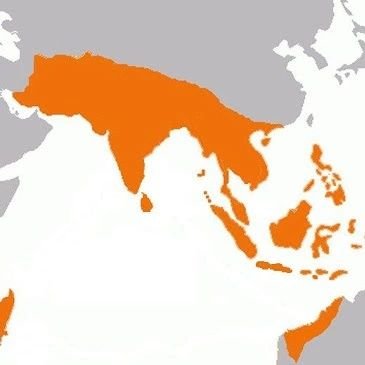 Akand_Bharth's profile picture. live life environment friendly.
Keep smiling as you are still alive.