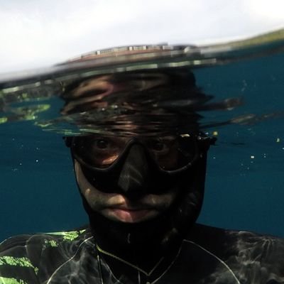 PADI Freediving Instructor Trainer at Crystal Freediving. Local at Koh Tao, Thailand.
Ask me anything what you want to know about Freediving or about Koh Tao 😉