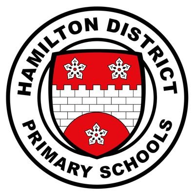 Hamilton District Primary Schools' FA Profile