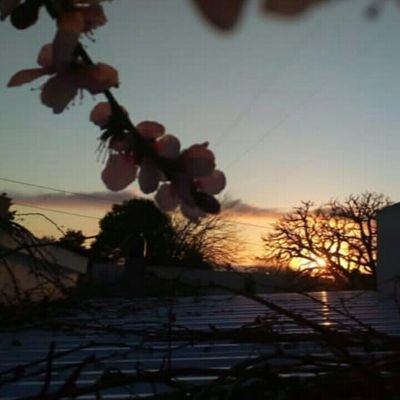 LcLuisec's profile picture. Amante de la naturaleza 😍