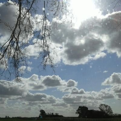 sebigon's profile picture. Estamos