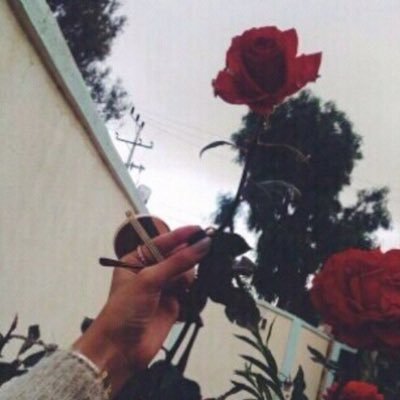 ربي اكرمني برضاك ف رضاك جسر سعادتي .