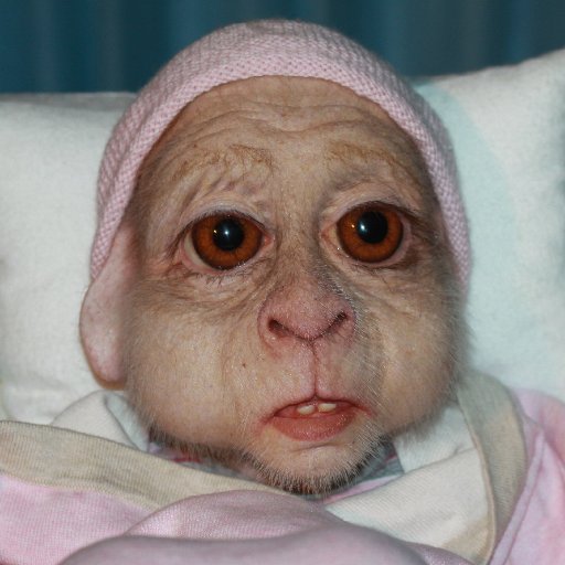 bps_of_qw's profile picture. 